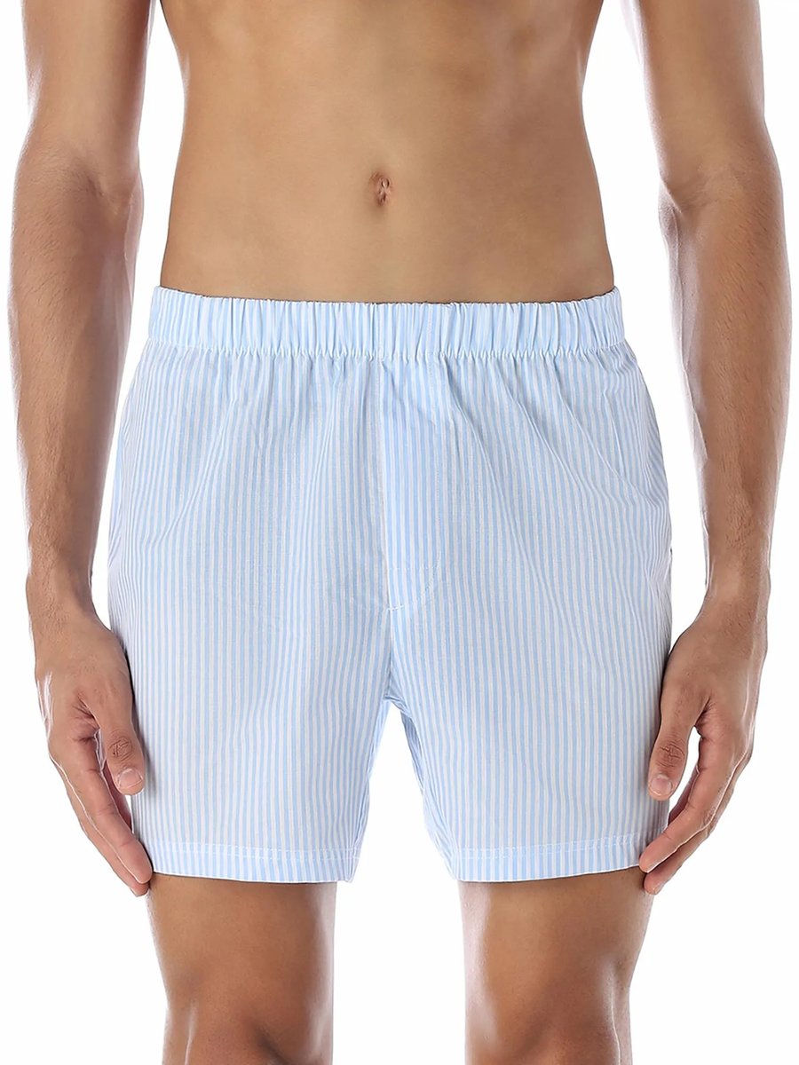 Men Striped Regular Fit Light Blue Boxer Shorts
